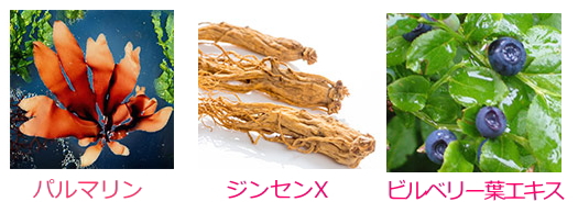ストレスバリアコンプレックス